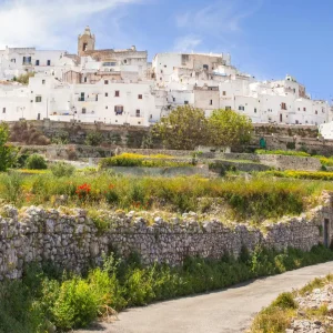 La Valle d'Itria, situata nel cuore della Puglia, i trulli unici e i borghi storici.
