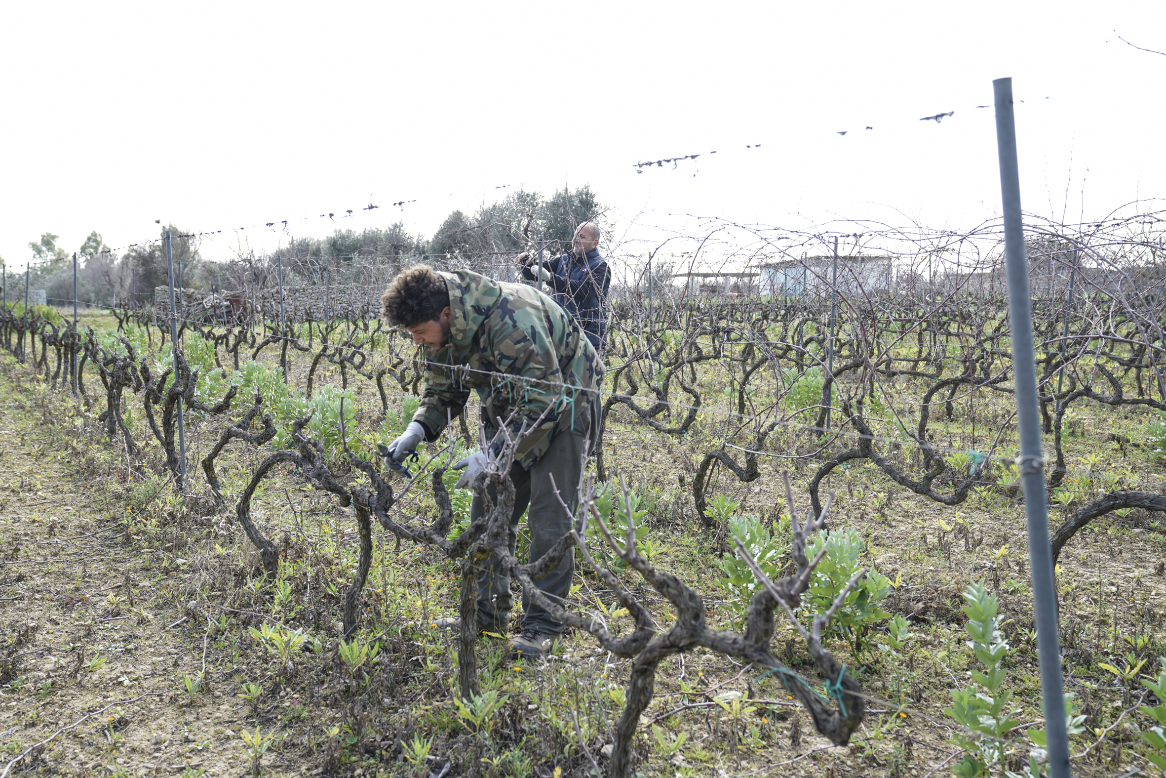 Da tre generazioni 3 Da tre generazioni