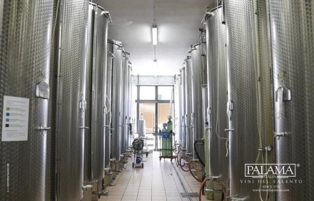 Il Metiusco tra Cantina e Vigneti