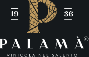 Degustazione vini Metiusco alla Vinicola Palamà con Salenthub a Cutrofiano, esperienza enogastronomica nel cuore del Salento