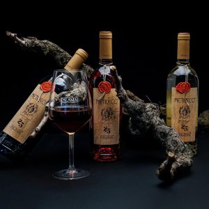 Alla scoperta del Metiusco