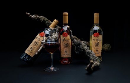 Alla scoperta del Metiusco